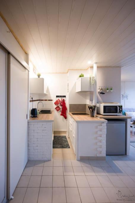 Le Nid Aux Mouettes Apartment La Paree Preneau ภายนอก รูปภาพ