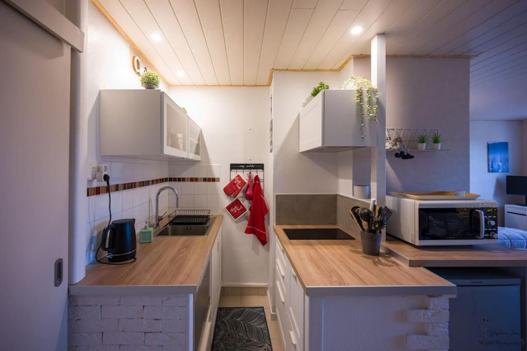 Le Nid Aux Mouettes Apartment La Paree Preneau ภายนอก รูปภาพ